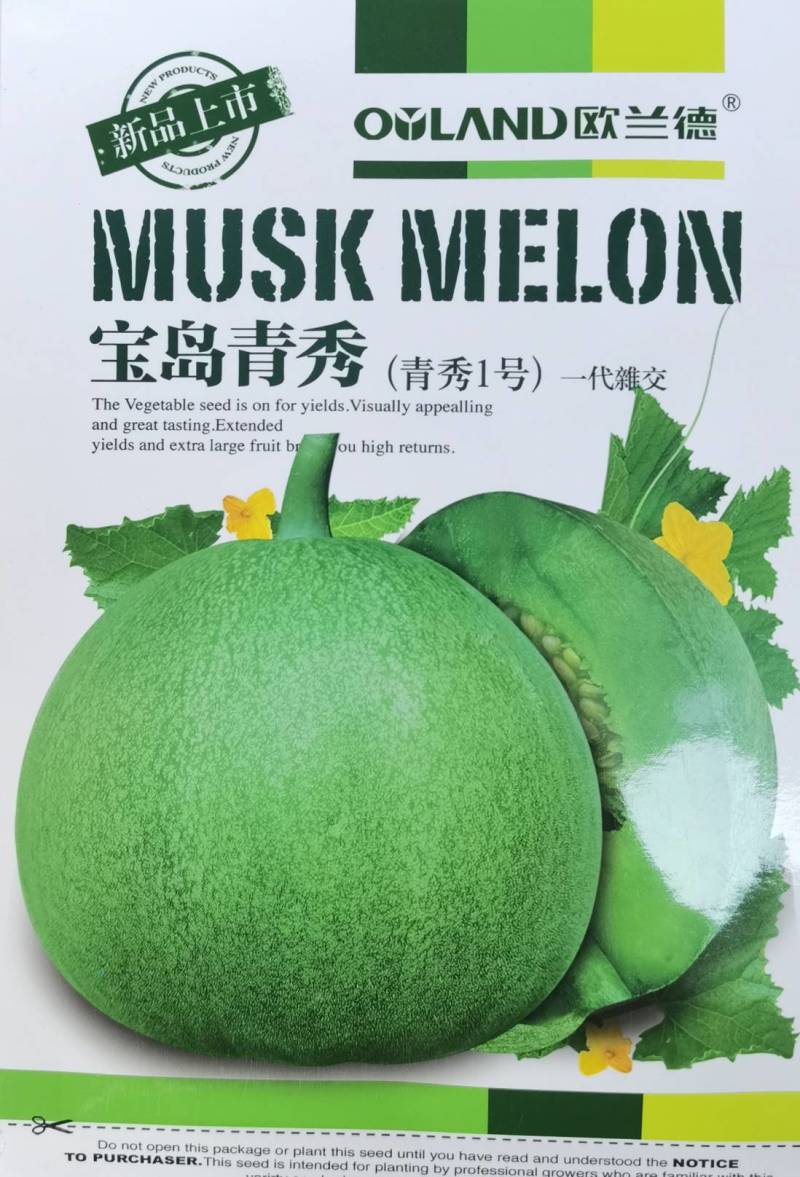 宝岛青秀绿宝甜瓜种子高品质绿皮绿肉口感酥脆基地专用