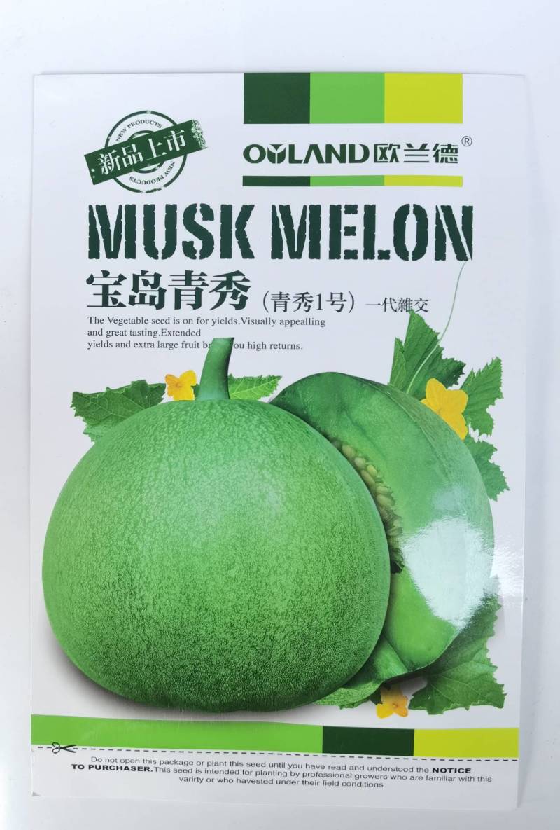 宝岛青秀绿宝甜瓜种子高品质绿皮绿肉口感酥脆基地专用