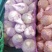 淮阳区【苤蓝】洋芥菜疙瘩，大头菜【酱菜厂加工厂】