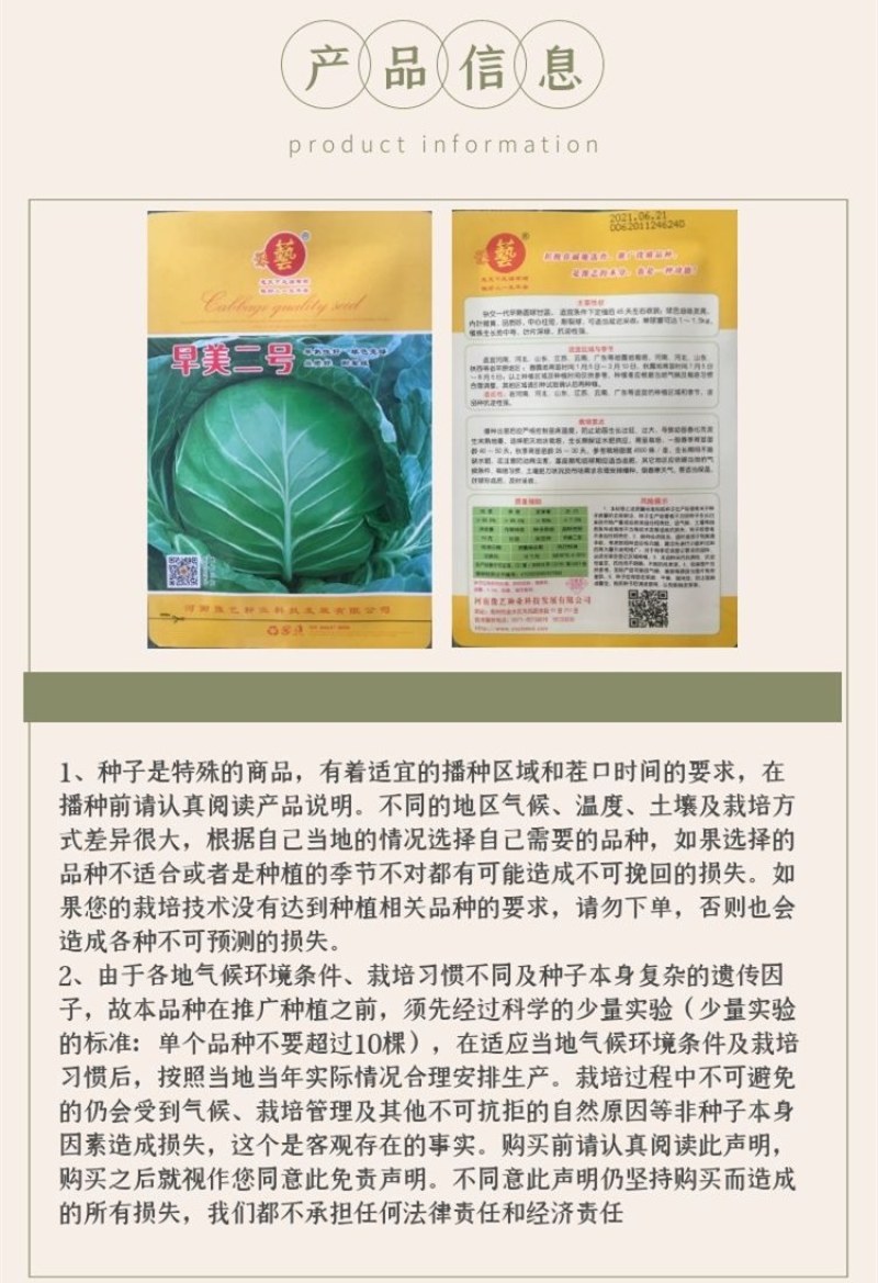 早熟耐裂颜色绿圆甘蓝种子，豫艺甘蓝种子