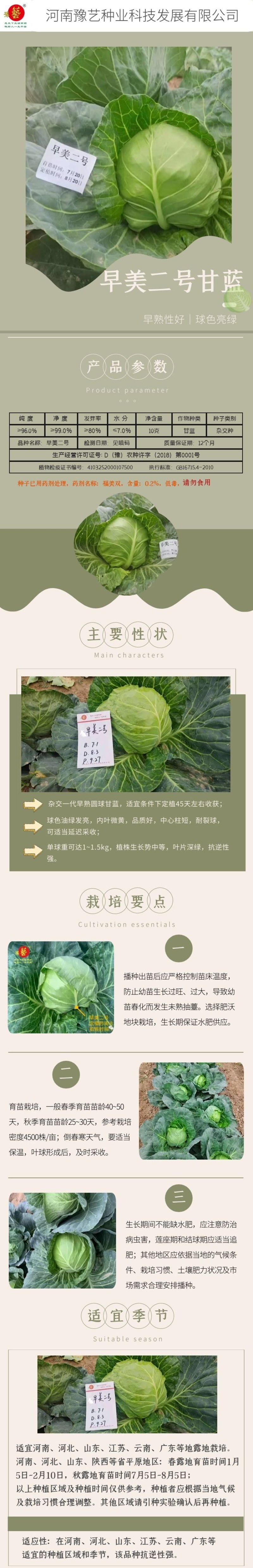 早熟耐裂颜色绿圆甘蓝种子，豫艺甘蓝种子