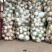自家1000亩萝卜，品质好！