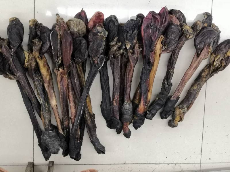 驴鞭新货重量50到300不到大货批发各种中药材