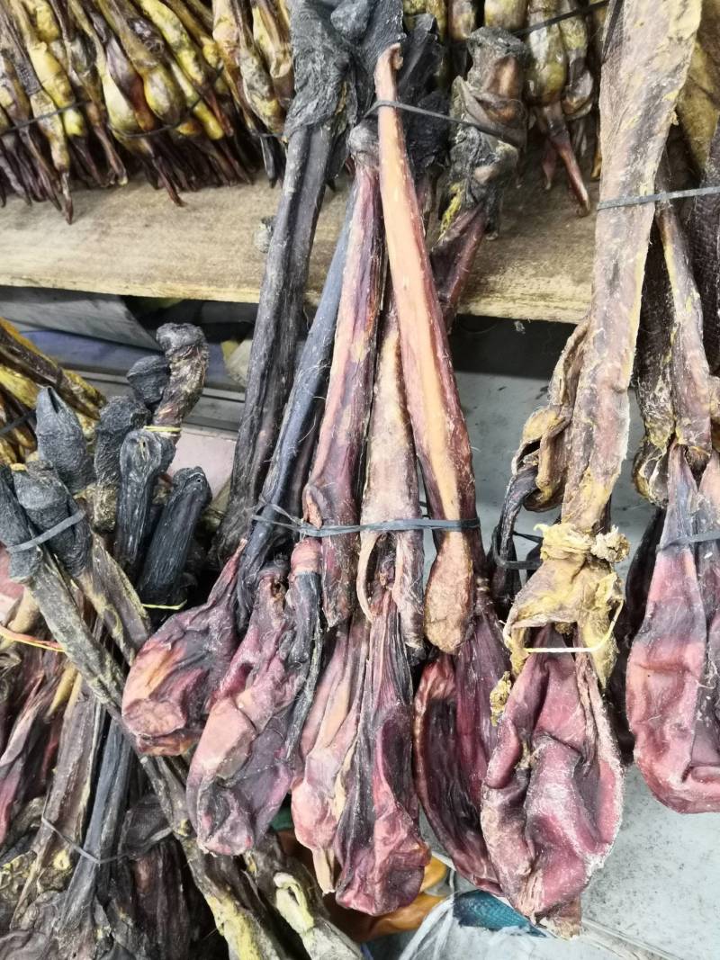 驴鞭新货重量50到300不到大货批发各种中药材
