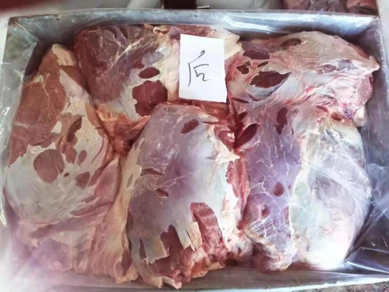 牛前后腿，牛腱牛腩，厂家直销，低价出售，质量有保障