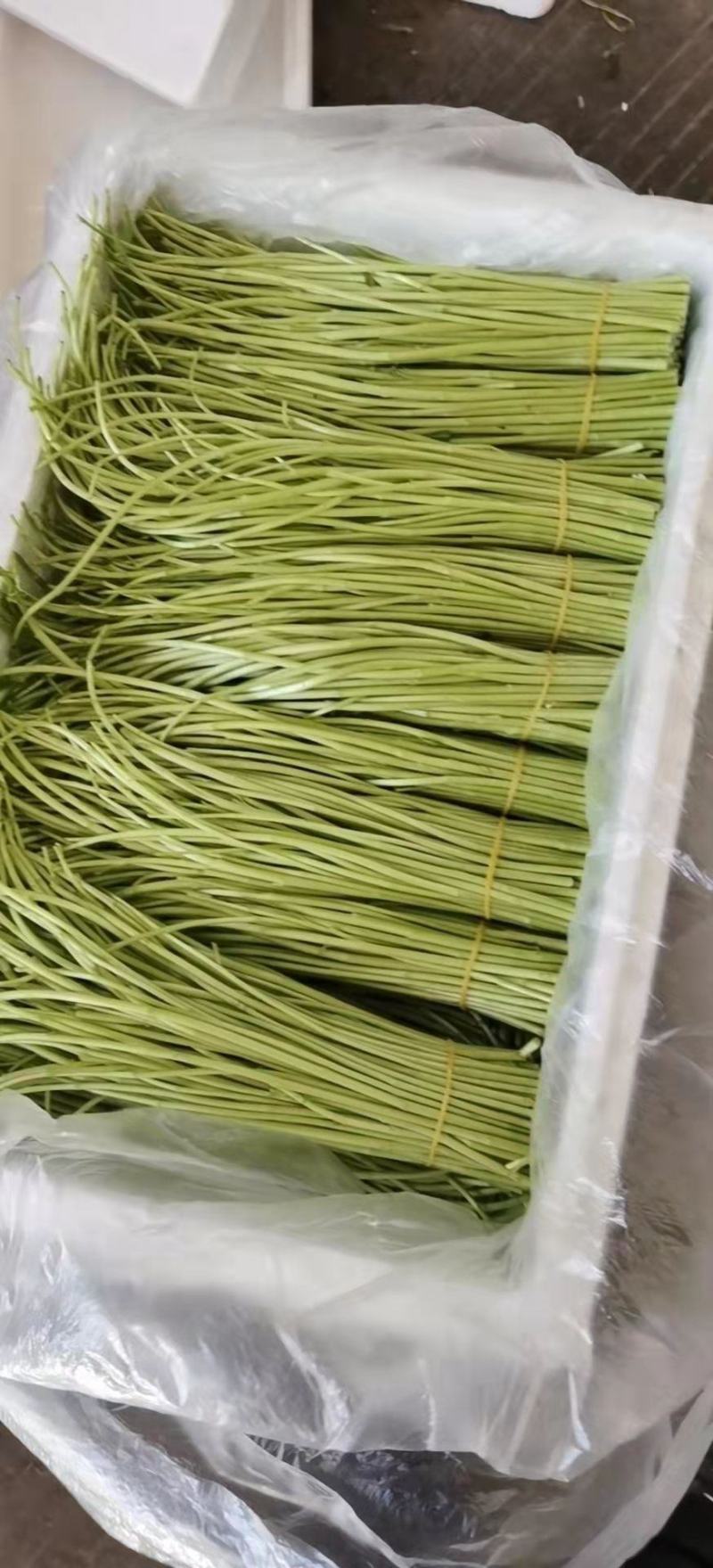 芦蒿，泥蒿。需要芦蒿得老板联系我，地头价格