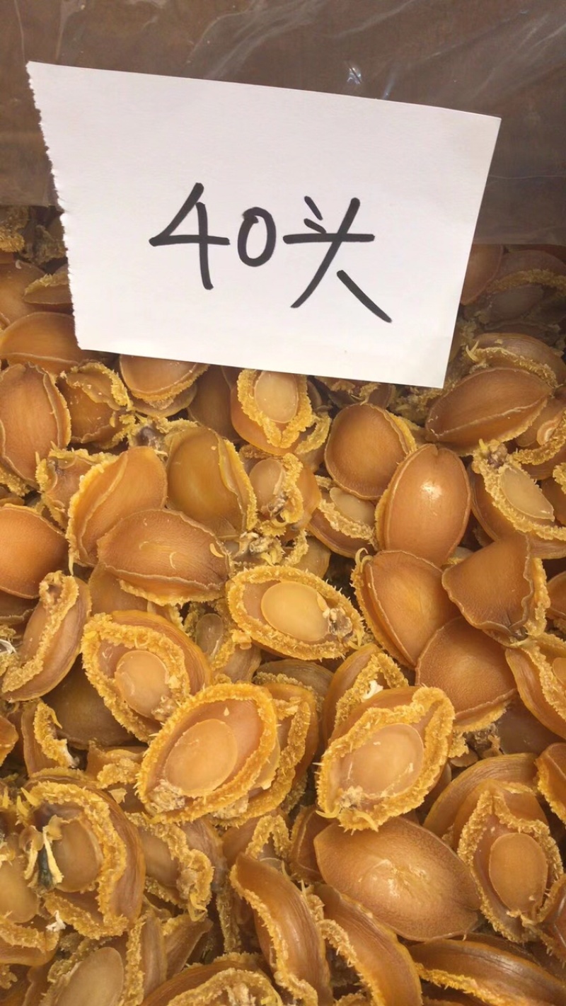 大连鲍鱼规格齐全颜色金黄新鲜无发霉、缺氧鲍