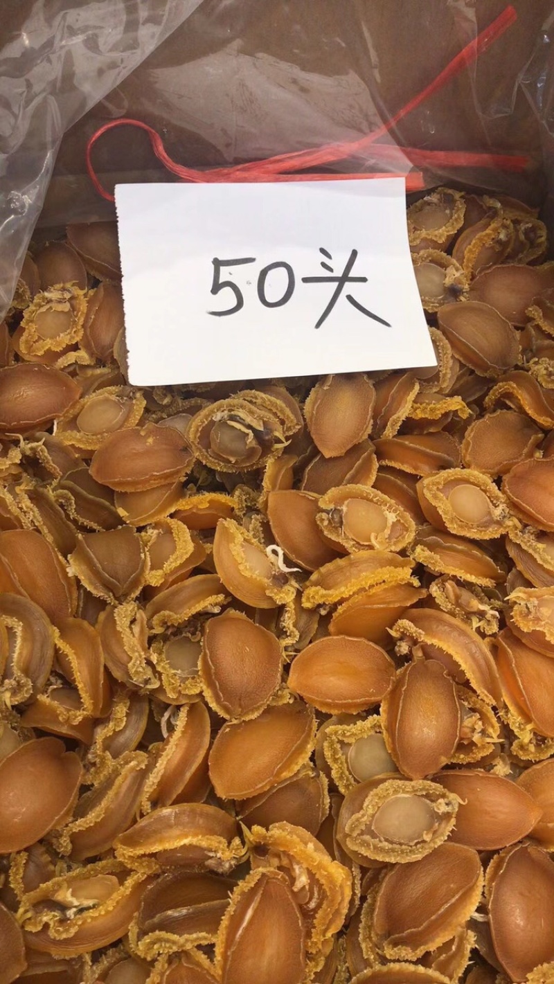 大连鲍鱼规格齐全颜色金黄新鲜无发霉、缺氧鲍