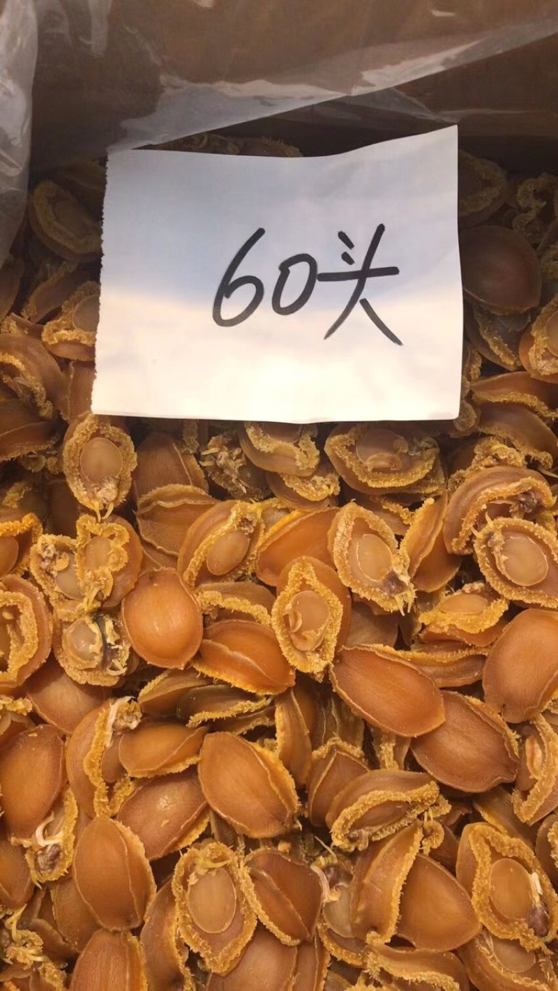 大连鲍鱼规格齐全颜色金黄新鲜无发霉、缺氧鲍