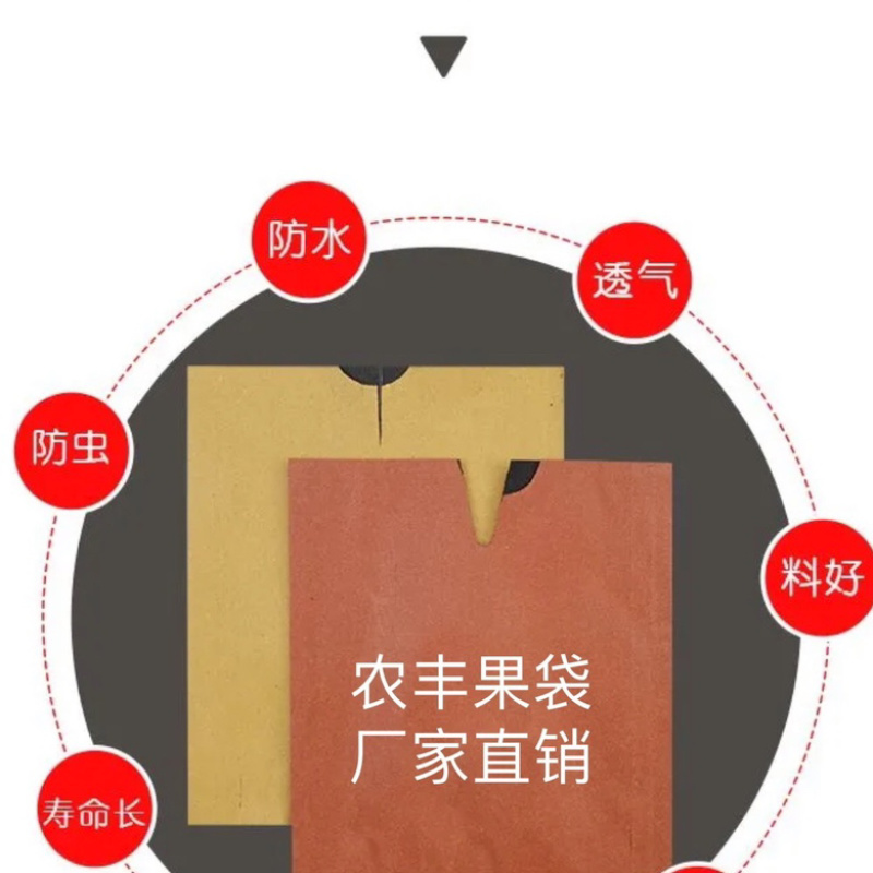 果袋水果套袋梨袋桃袋葡萄袋苹果袋各种水果套袋