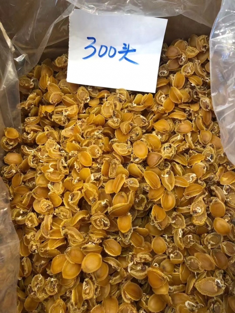 大连鲍鱼规格齐全颜色金黄新鲜无发霉、缺氧鲍