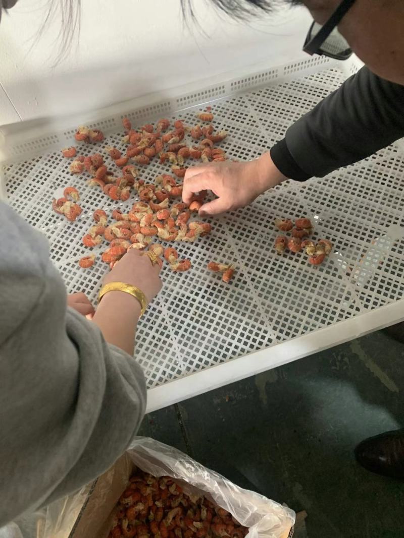 龙虾尾
