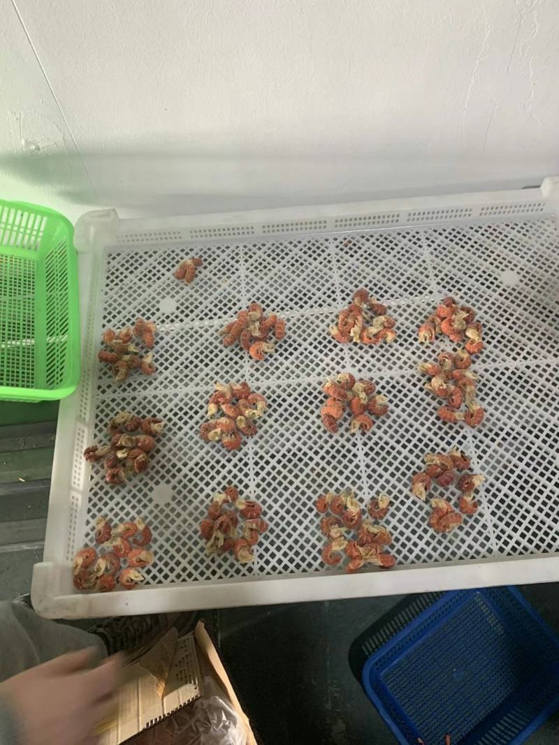 龙虾尾