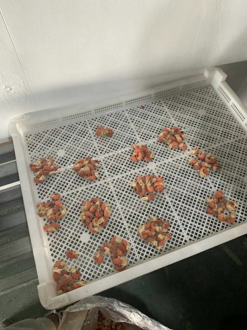龙虾尾