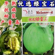 绿宝石甜瓜种子早熟抗病高产耐裂耐湿热，绿皮绿肉