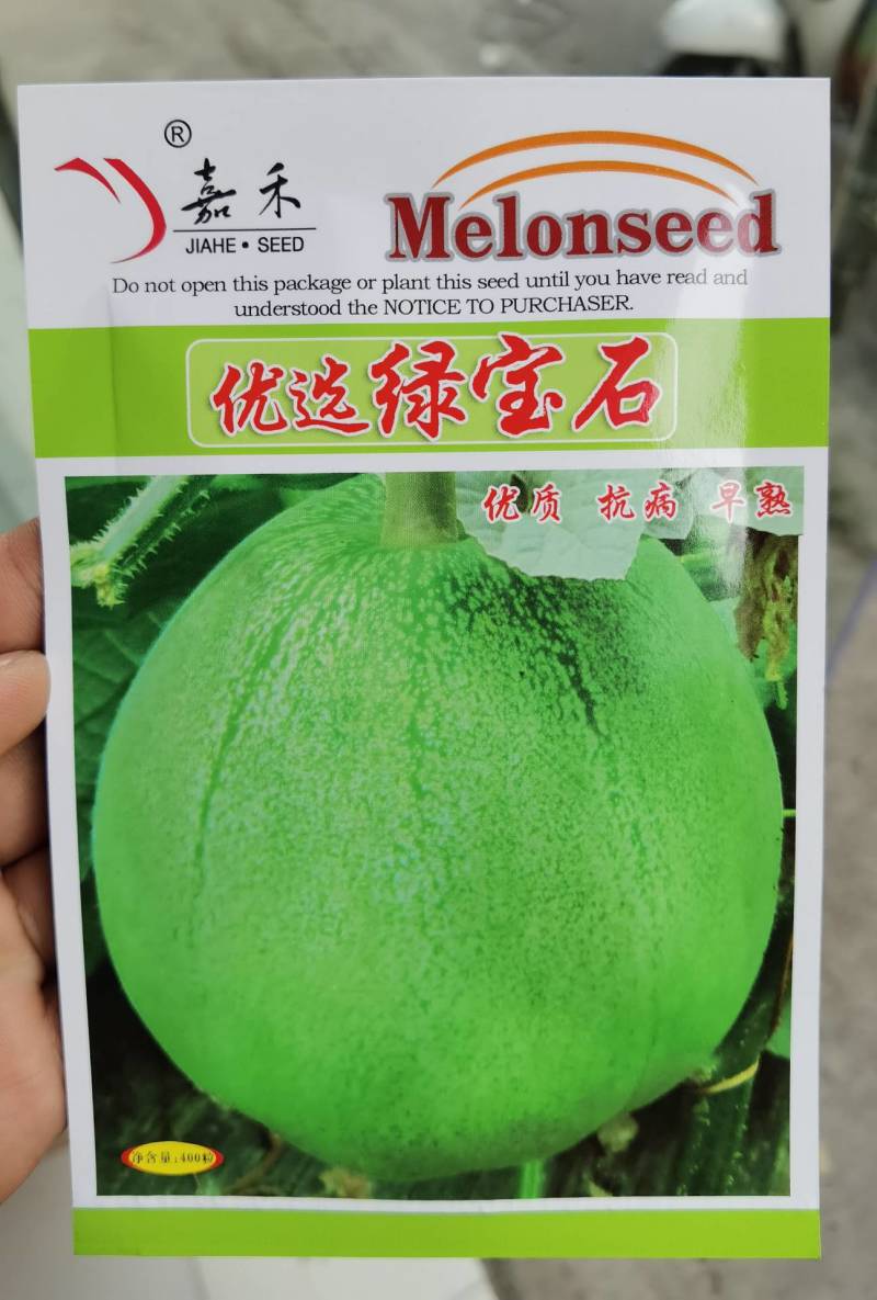 绿宝石甜瓜种子早熟抗病高产耐裂耐湿热，绿皮绿肉