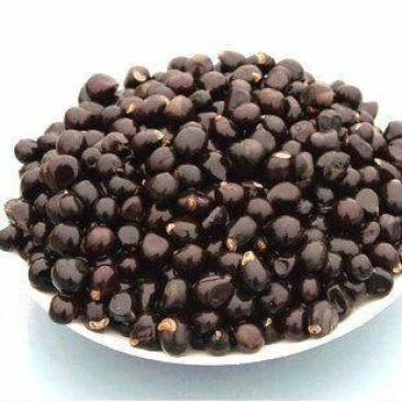 文冠果种子