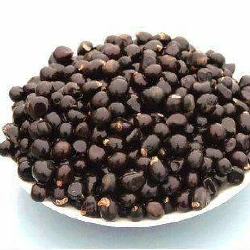 文冠果种子