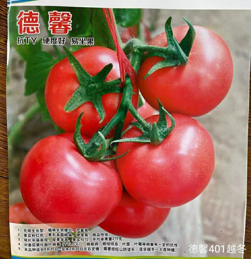 山东寿光西红柿种苗德馨401（粉果），耐寒，抗病毒，死棵