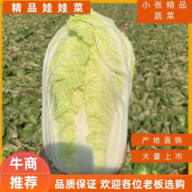 河南省鹿邑县娃娃菜，颗大，黄度高24小时视屏