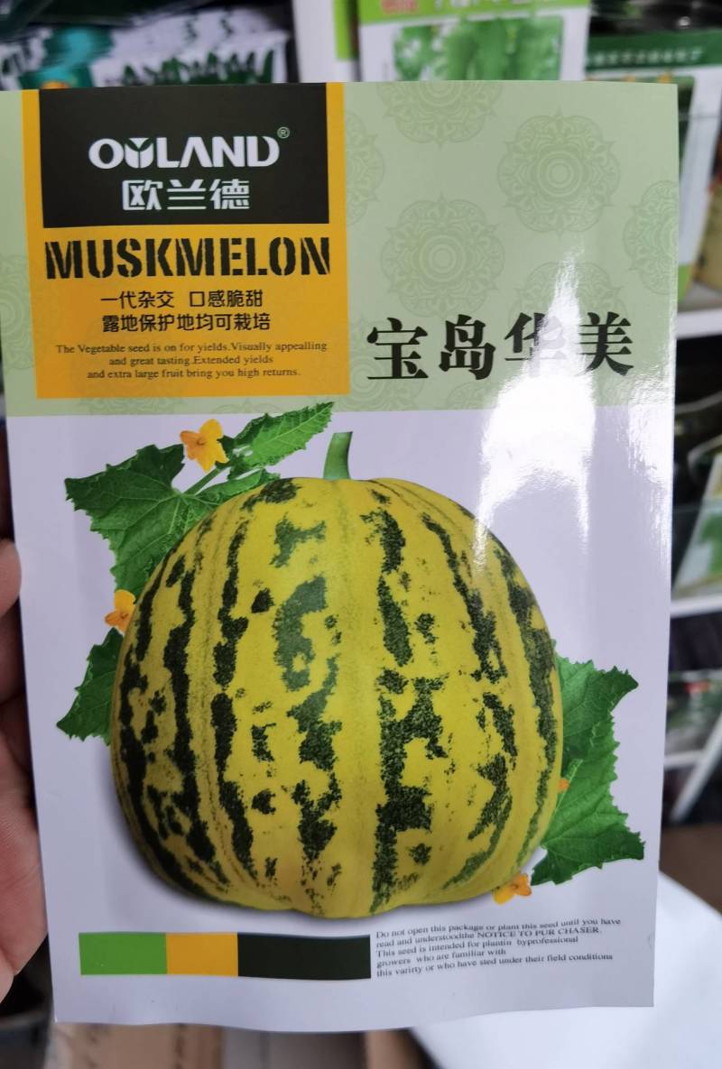 宝岛华美甜瓜种子早熟花皮花豹纹花斑纹甜瓜种子