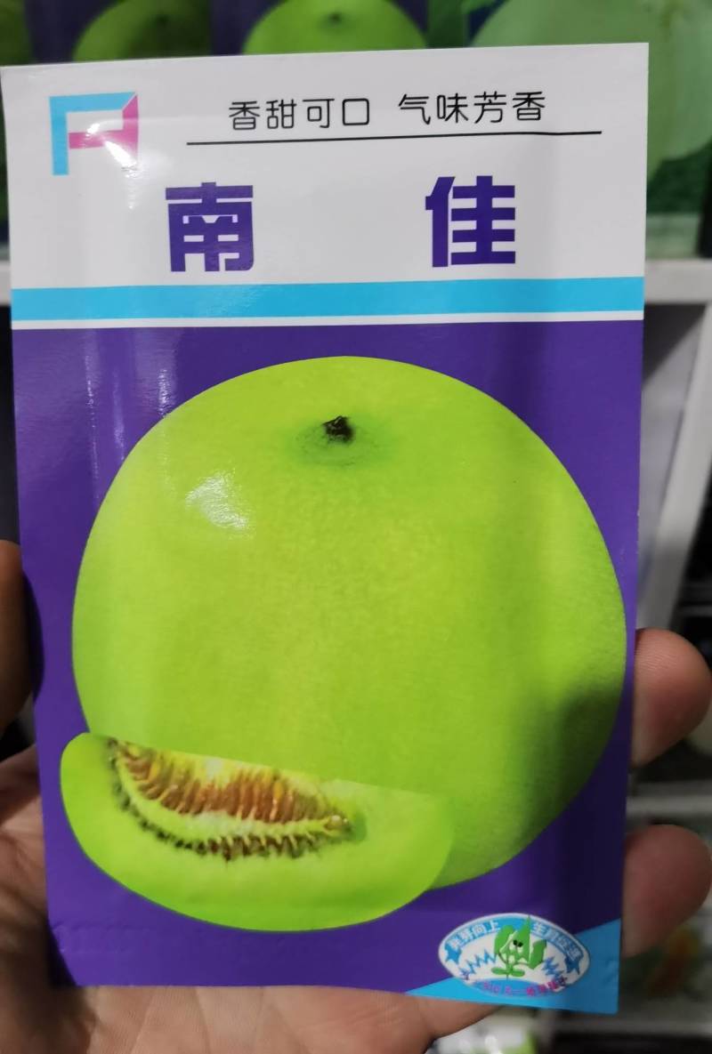南佳甜瓜种子高端日本进口甜宝甜瓜种子黄绿皮，薄皮好吃