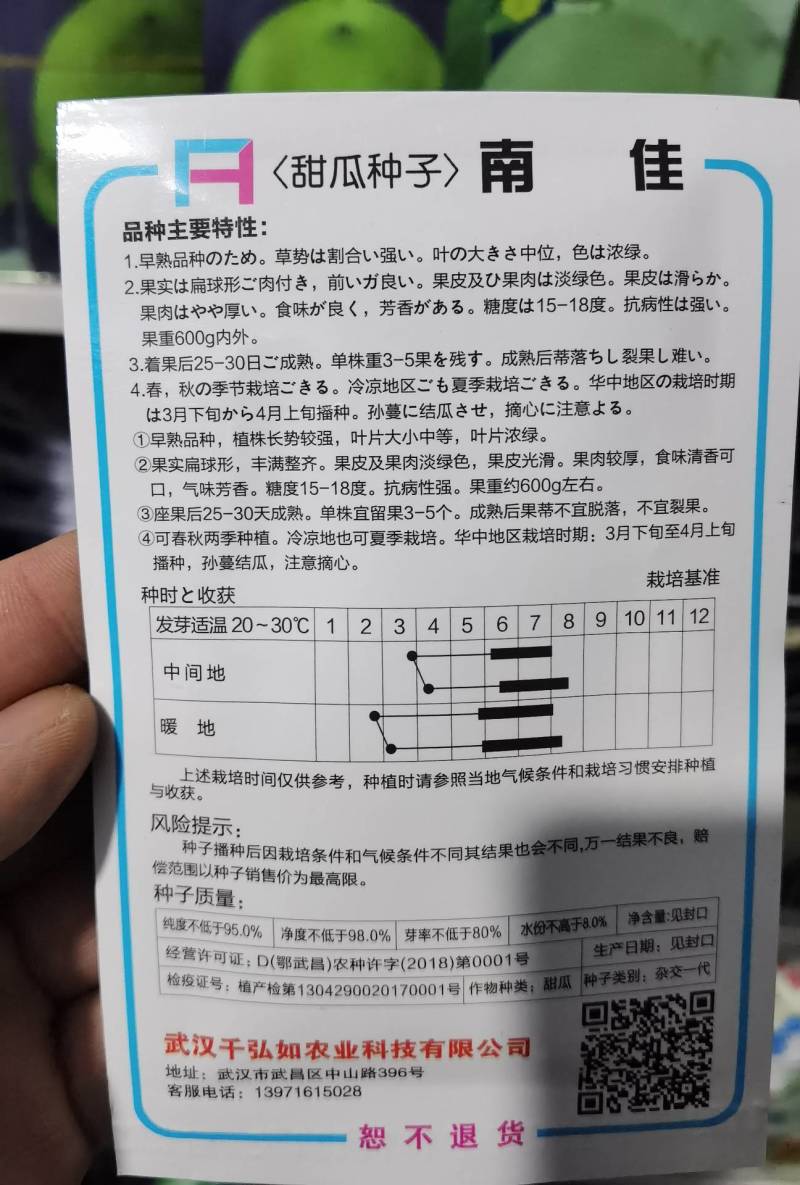 南佳甜瓜种子高端日本进口甜宝甜瓜种子黄绿皮，薄皮好吃
