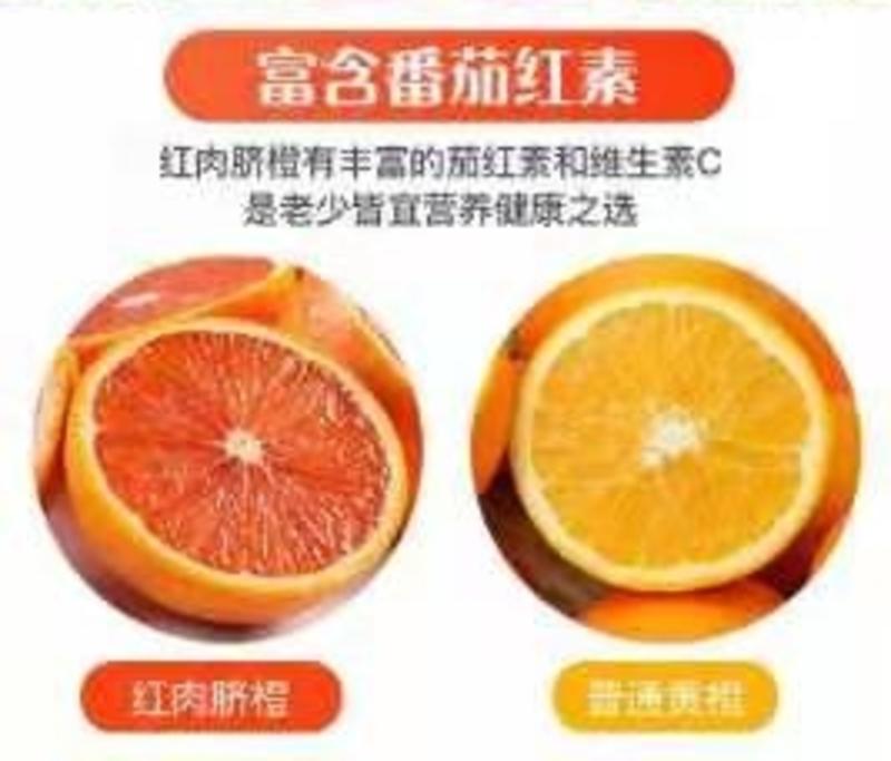 【红橙】中华红橙血橙大量上市，欢迎全国客商通过一亩田联系