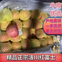 精品红富士苹果，基地货源量大承接电商社区团够全国发货