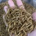 优质黄粉虫干品常年有货，全国安排发货，欢迎联系
