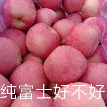 出售青龙县红富士苹果1.5元《可发物流》