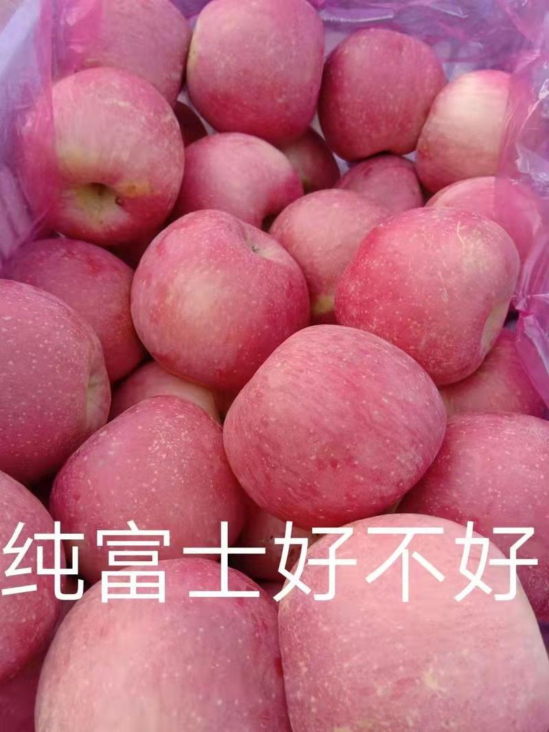 出售青龙县红富士苹果1.5元《可发物流》