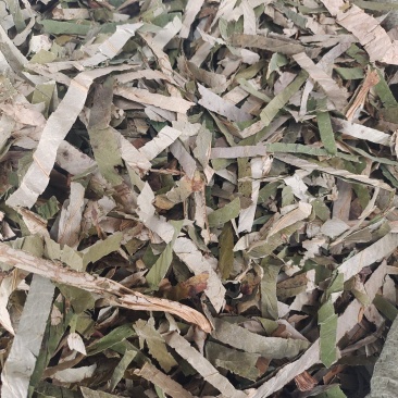 荷叶～1公斤起售～量大从优
