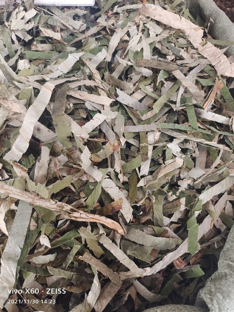 荷叶～1公斤起售～量大从优