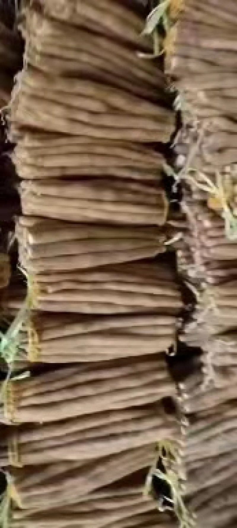 河北精品白山药，产地直销，保质保量发货稳定供应全国市场