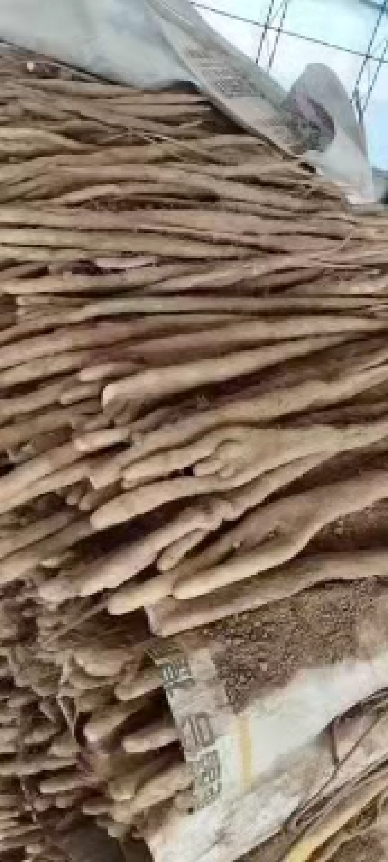 河北精品白山药，产地直销，保质保量发货稳定供应全国市场