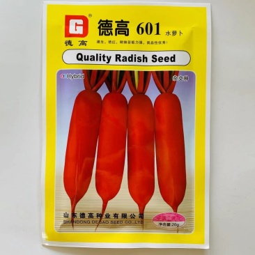 德高601水萝卜种子春秋速生皮色艳红含水量大红皮白肉萝卜
