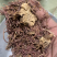 紫菀紫苑颜色新鲜水洗无杂质产地直供规格齐全重在品质