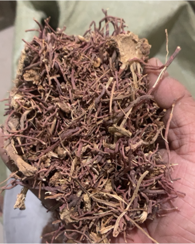 紫菀紫苑颜色新鲜水洗无杂质产地直供规格齐全重在品质