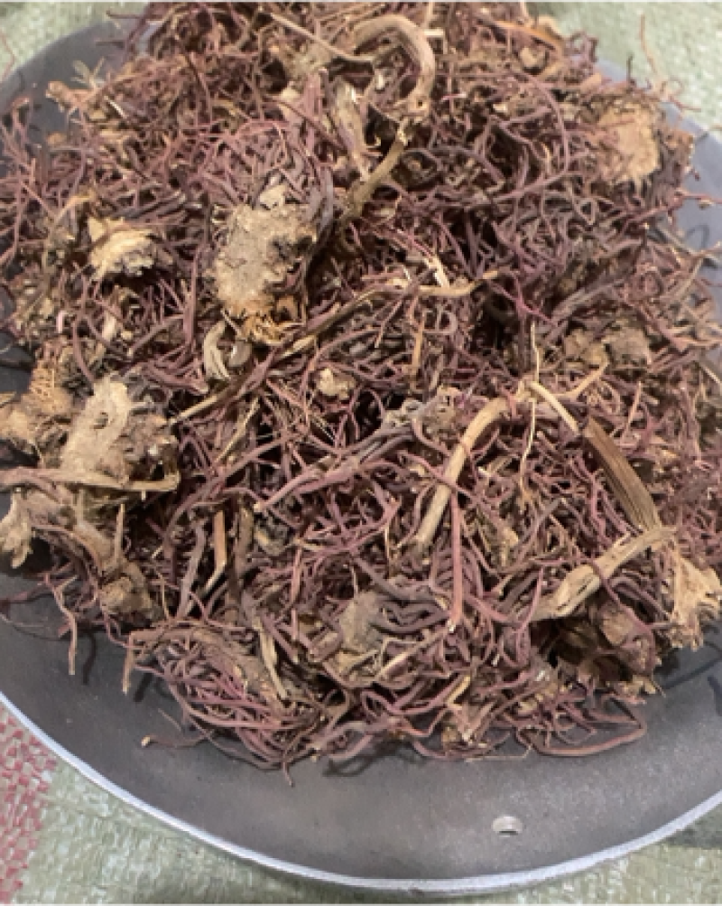 紫菀紫苑颜色新鲜水洗无杂质产地直供规格齐全重在品质