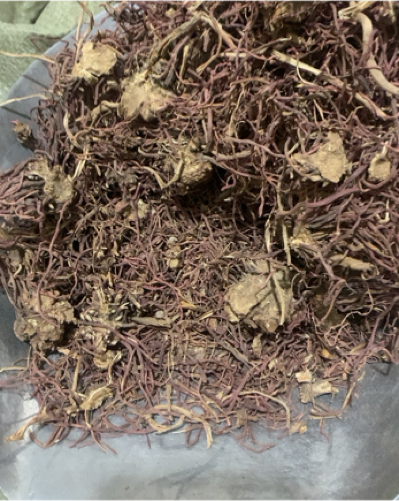 紫菀紫苑颜色新鲜水洗无杂质产地直供规格齐全重在品质
