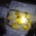 【推荐】山东肥城荷兰十五土豆精品土豆装箱套网装袋