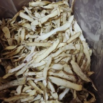 玉竹