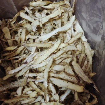 玉竹