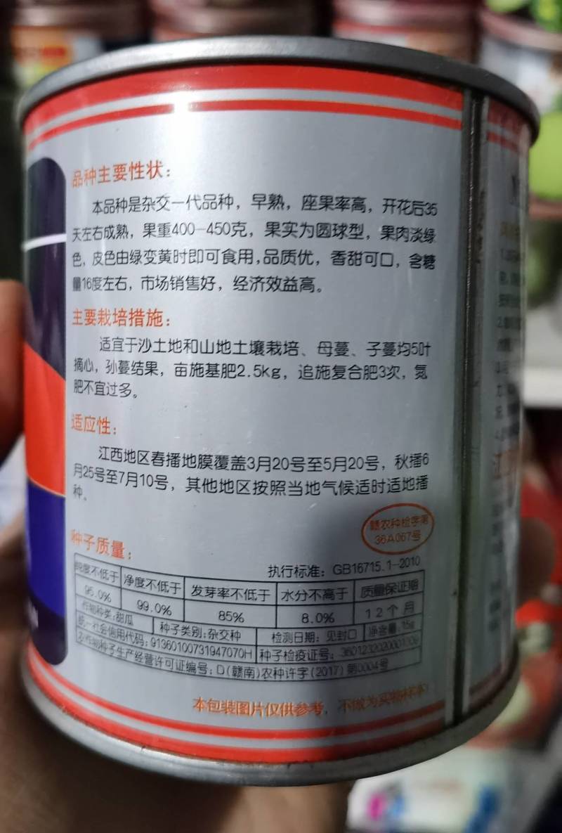 日本甜宝甜瓜种子甜宝宝成熟皮色发黄薄皮抗病耐热耐雨
