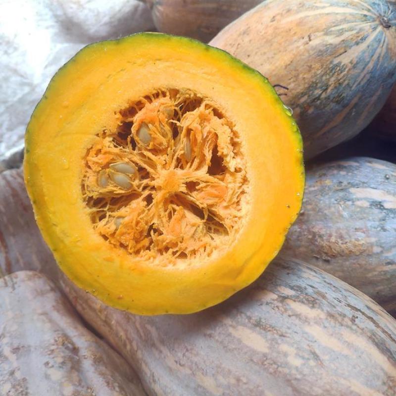 云南老南瓜超甜糯黄南瓜农家种植长南瓜宝宝辅食非贝贝小南瓜