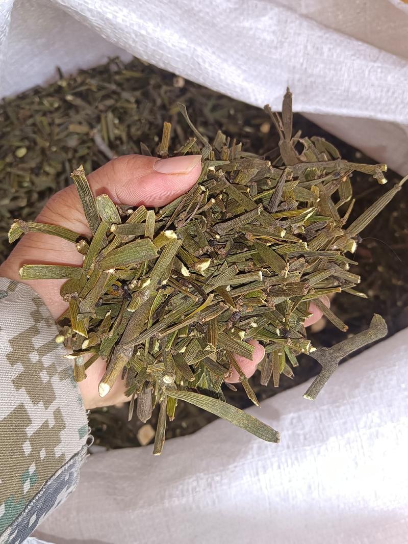 野生枫寄生（螃蟹脚）茶。槲寄生，十足干货。生态采摘，