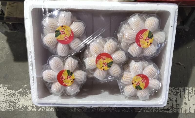 【高碑店新发地-乐航商贸】大五星枇杷