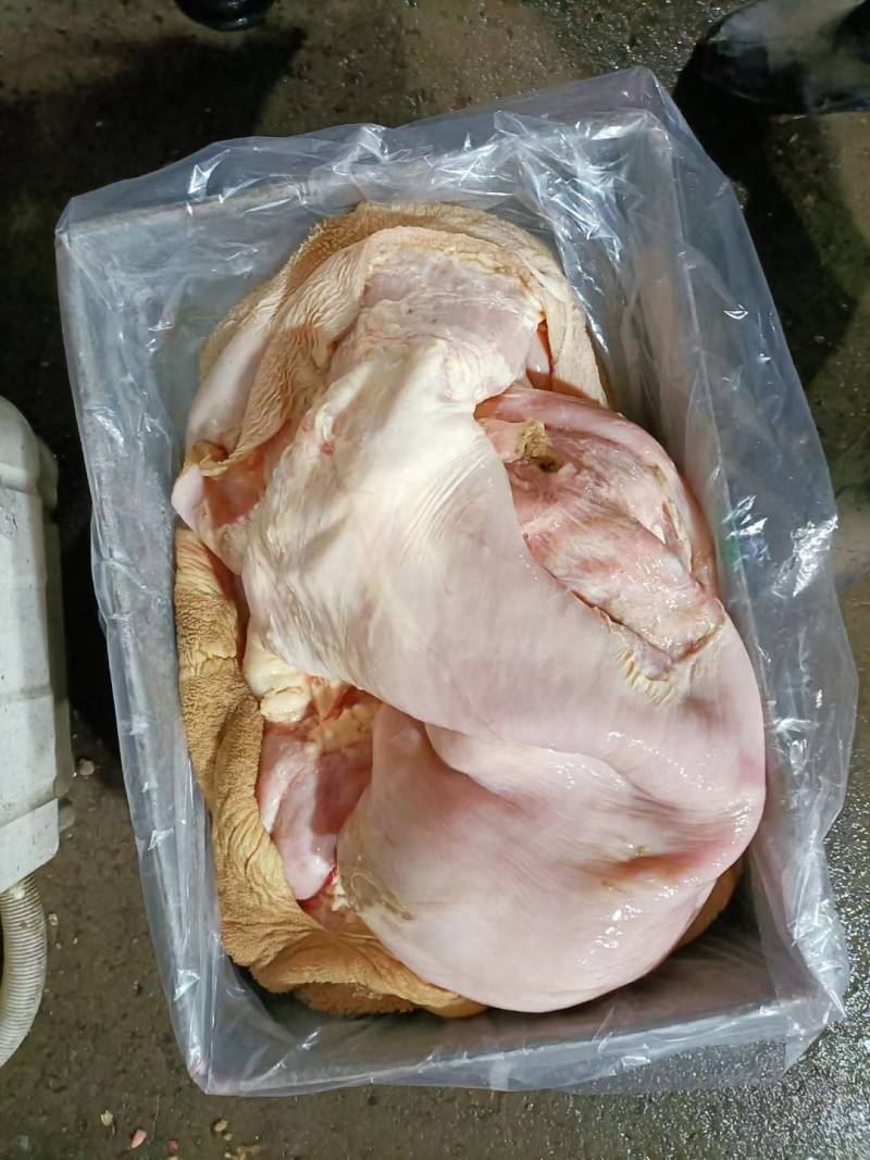 锡林浩特市大草原，牛毛肚牛黄毛肚，，质量保证，放心够买