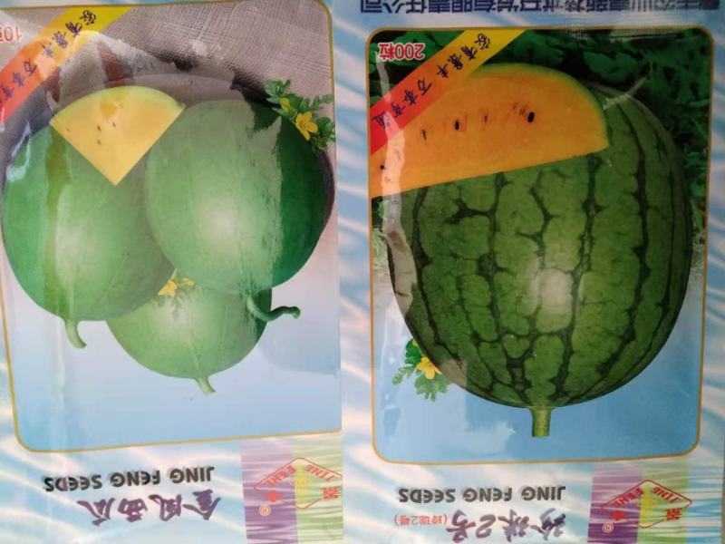 金凤西瓜种苗，礼品西瓜种苗西瓜种苗（一袋10克）